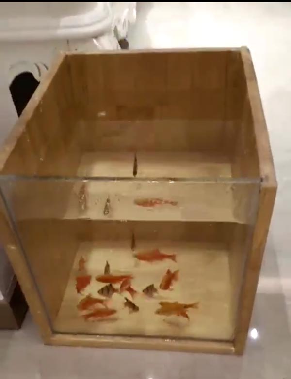 ԡ�ҹ�ʮ��Ʒ��